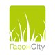 Газонcity