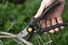 Садовые секаторы: популярные разновидности Садовые секаторы: популярные разновидности