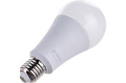 Лампа Gauss LED A70 22W Е27 6500K 102502322 - фото 101064