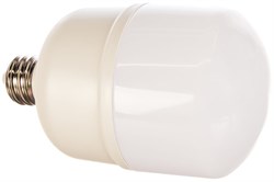 Лампа светодиодная ERGOLUX LED-HW-50W-E40-6K переходник E27/E40 в компл. 13556 - фото 101148