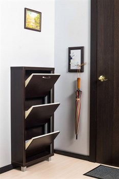 Шкаф для обуви Айрон Люкс 3-х секционный в ассортименте - фото 101653