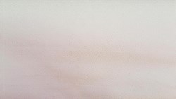 Обои ГОМЕЛЬОБОИ 9С6К Аргус-фон-11 дуплекс 0,53*10,05м (1упак-15рул) - фото 102689