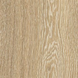 Ламинат Floorpan Yellow Kastamonu FP 16 Дуб Каньон Кремовый 8мм/32кл (2,131м2) - фото 104959