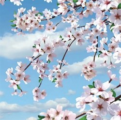 Фотообои НИКА Цветущая сакура 140*145 6 листов - фото 105247