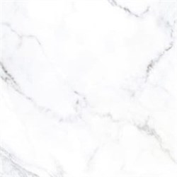 Керамогранит MK-Ceramics Iguana Décor 1 60х60 IA1H90M05 - фото 107487