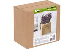 Скульптура-органайзер BLUMEN HAUS Глаз Давида 21*16 *8см, цемент 67000 - фото 108171