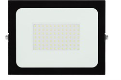 Прожектор светодиодный ЭРА 4335 LPR-021-0-65K-100 Eco Б0043566 - фото 109057