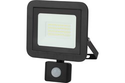 Прожектор светодиодный ЭРА 3673 LPR-041-2-65K-050 Eco Б0043587 - фото 109092