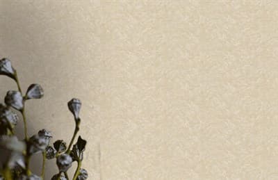 Обои MURELLA Италия 41105 1,06*10,05м (упак-4рул) (Decorata) - фото 10922