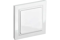 Выключатель BRITE 1-кл. 10А в сборе, белый BR-V10-0-10-K01-F - фото 109808