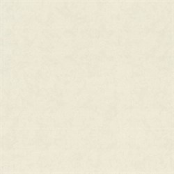 Обои EURO DECOR Shape фон 9171-00 виниловые 1,06*10,05м (1упак-6рул) - фото 110977