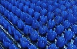 Покрытие ковровое щетинистое в рулонах 15*0,9м арт.179 Синий - фото 111766