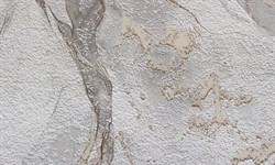 Обои АСПЕКТ РУ Атлантида декор 10125-24 0,53*10,05м (1упак-12рул) - фото 113219