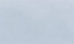 Обои АСПЕКТ РУ Акцент 70393-16 1,06*10,05м (1упак-6рул) - фото 113433