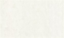 Обои АСПЕКТ РУ WallDecor Арго 75186-11 1,06*10,05м (1упак-6рул) - фото 114193