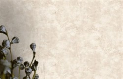 Обои VS Betone 281046 1,06*10,05м (1упак-6рул) (Ateliero) - фото 116104