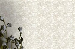 Обои VS Simple 98298 виниловые 1,06*10,05м (1упак-6рул) (ROSE) - фото 116472