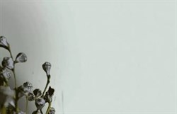 Обои VS Simple 98303 виниловые 1,06*10,05м (1упак-6рул) (ROSE) - фото 116474