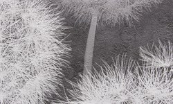 Обои АСПЕКТ РУ 70436-44 1,06*10,05м (1упак-6рул) - фото 117973