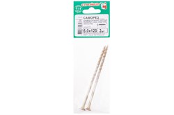 Саморезы СТРОЙБАТ универсальные 6,0x120 (2 шт) 60201 - фото 118013