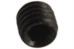 Винты установочные ELEMENT 6x6мм (4 шт) 222610 - фото 118562