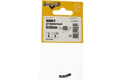 Винты установочные ELEMENT 6x6мм (4 шт) 222610 - фото 118564