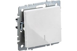 Выключатель BRITE 1-кл. с индикатором 10А белый BR-V10-1-10-K01 - фото 119056