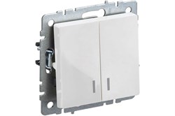 Выключатель BRITE 2-кл. с индикатором 10А белый BR-V20-1-10-K01 - фото 119058