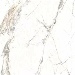 Керамогранит TSC напольная 60*60 TP66M04 - фото 120111