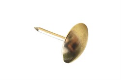 Гвозди СТРОЙБАТ декор. с мет.головкой 10,5мм (100шт) Eleme 21110 - фото 120564
