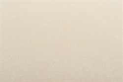 Обои ЛАНИТА ЭШТ Одиссея ЭШТ 4-1561 (бежевый) 1,06*10,05м (1упак-6рул) - фото 120687