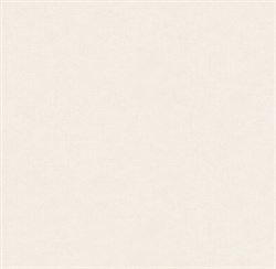 Обои VS Promenad фон 285082 виниловые 1,06*10,05м (1упак-6рул) (МАЯКПРИНТ) - фото 120817
