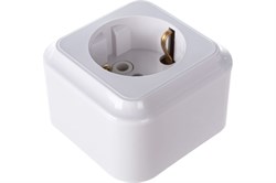 Розетка СВЕТОПРИБОР РА 16-254 одинарная с/з - фото 121138