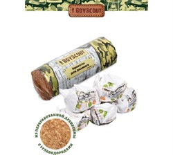 Брикеты BOYSCOUT для розжига 5 брикетов 61042 - фото 121328