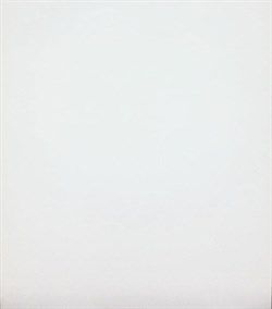 Плитка TSC облицовочная 30*60 белая TP3600BY - фото 122963