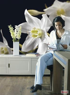 Фотообои KOMAR 254*184cm 4-259 Madonna (4 части) - фото 12344