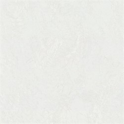 Обои EURO DECOR Bengal фон 7236-00 виниловые 1,06*10,05м (1упак-6рул)м - фото 124368