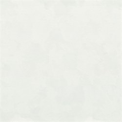 Обои EURO DECOR Frame фон 7238-00 виниловые 1,06*10,05м (1упак-6рул) - фото 124384