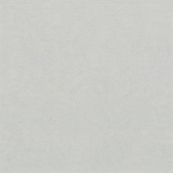 Обои EURO DECOR Parad фон 9212-11 виниловые 1,06*10,05м (1упак-6рул) - фото 128226