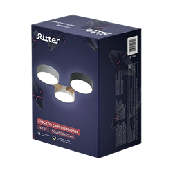 Люстра светодиодная RITTER SCANDIA 3 режима 500*500*50мм 42Вт 15м² серый/белый/дерево 52070 2 - фото 128391