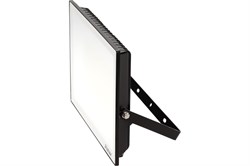 Прожектор светодиодный RITTER PROFI 100Вт 4000К 10000Lm IP65 230В черный 53419 2 - фото 128415