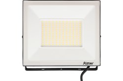 Прожектор светодиодный RITTER PROFI 100Вт 4000К 10000Lm IP65 230В черный 53419 2 - фото 128416
