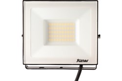 Прожектор светодиодный RITTER PROFI 50Вт 4000К 5000Lm IP65 230В черный 53417 8 - фото 128420