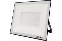 Прожектор светодиодный RITTER PROFI 100Вт 6500К 10000Lm IP65 230В черный 53410 9 - фото 128434