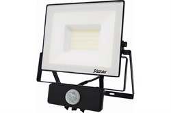 Прожектор светодиодный RITTER PROFI 50Вт 6500К 5000Lm IP65 230В с датчиком движения, черный 53422 2 - фото 128438