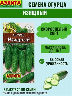 Семена АЭЛИТА Лидер Огурец Изящный - фото 128587
