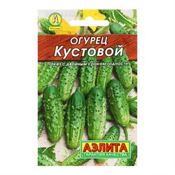 Семена АЭЛИТА Лидер Огурец кустовой - фото 128588