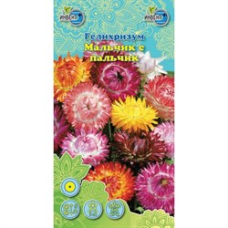 Семена ИНВЕНТ ПЛЮС Гелихризум Мальчик с пальчик - фото 128739