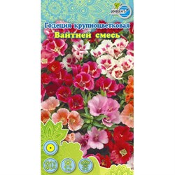 Семена ИНВЕНТ ПЛЮС Годеция Вайтней смесь крупноцв - фото 128751