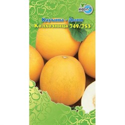 Семена ИНВЕНТ ПЛЮС Дыня Колхозница 749/753 - фото 128765